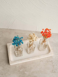 Thumbnail for Dried Mini Star Flowers in Terracotta Orange
